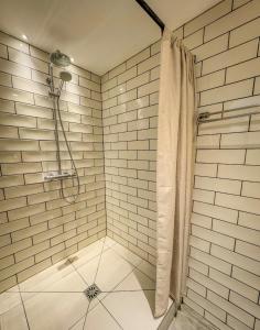 a bathroom with a shower with a shower curtain at Maisonnette des vignes in Albertville