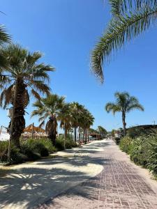 a brick path with palm trees on a beach at apartament gezuar in Golem