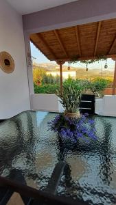 a glass table with a potted plant on top of it at Villa Albano in Delvinë