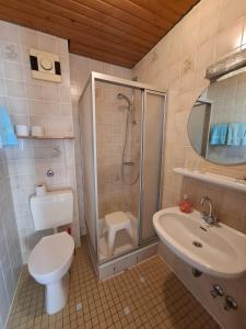 a bathroom with a shower and a toilet and a sink at Hotel Pappelhof in Weidenbach +24 photos