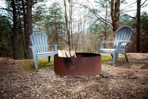 two chairs and a fire pit in the woods at Blue Jay in South Bloomingville +12 photos
