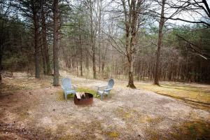 two chairs and a fire pit in the woods at Blue Jay in South Bloomingville