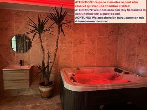 a bathroom with a red bath tub with a plant at Au Wachtfels in Obersteinbach