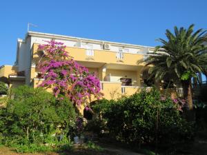 Zahrada ubytování Apartments Palma Novalja