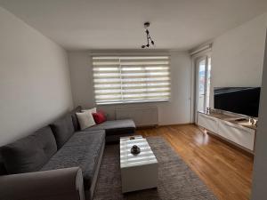 a living room with a couch and a tv at Apartman MARIJA in Pale
