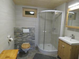 Un baño con ducha, inodoro y lavabo. en Braunhof Apartments, en Hainzenberg 25 fotos más
