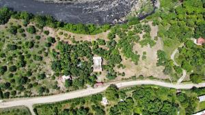 an overhead view of a road in a forest at San Alejo in San Joaquín