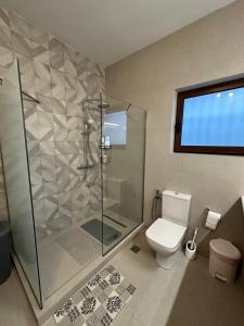 a bathroom with a shower stall and a toilet at Villa Markos in Mítikas +55 photos