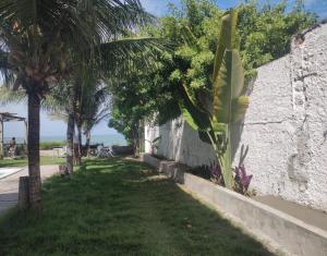 a yard with palm trees and a wall at Kitnet com veranda in Conde