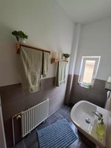 a bathroom with a white sink and a mirror at Wohnung HoMe No 17 in Parchim