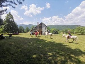 a group of people riding horses in a field at Pine corner Mojkovac in Mojkovac