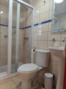 a bathroom with a toilet and a shower and a sink at Cabaña en barrio Palafitos de Castro in Castro +9 photos