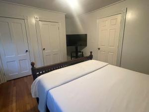 a bedroom with a bed and two doors and a television at Uptown Geneva Rowhouse Flat in Geneva +17 photos