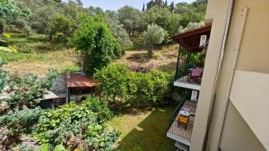 an aerial view of a garden from a building at Ionion Hotel in Syvota +13 photos