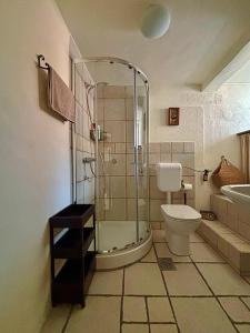 a bathroom with a shower and a toilet and a sink at Franka Apartment in Piran +38 photos
