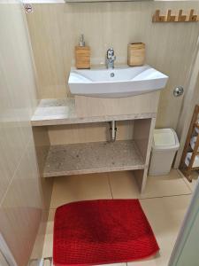 a bathroom with a sink and a red rug at Čebelja Zibka in Ljubljana