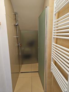 a shower with a glass door in a bathroom at Čebelja Zibka in Ljubljana