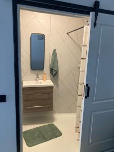 a bathroom with a sink and a mirror at Sheepyhead in Dordrecht