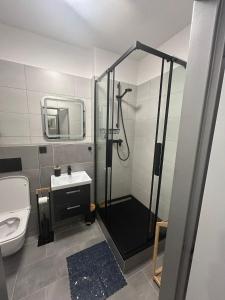 a bathroom with a shower and a toilet and a sink at Apartmán Míša in Harrachov +17 photos