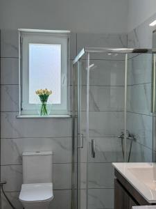 a bathroom with a shower and a toilet and a window at Lūm Posidonia in Posidhonía +11 photos