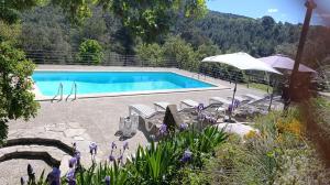 a swimming pool with chairs and an umbrella at Bosquet de l'Auró in Argençola