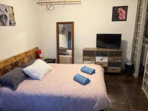 a bedroom with a bed with two pillows on it at Propriétaire privé in Carcassonne