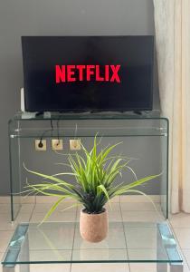 a tv on top of a table with a plant at K A P Home in Chios