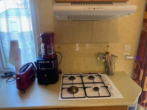a kitchen with a stove and a blender on a counter at Mobile home Besse in Besse-et-Saint-Anastaise