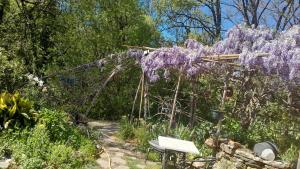 a garden with a wreath of purple flowers at Verdure, rivière et vue imprenable in Sallelles
