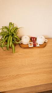 a wooden table with a plant on top of it at NATURA Garden in Cluj-Napoca +64 photos