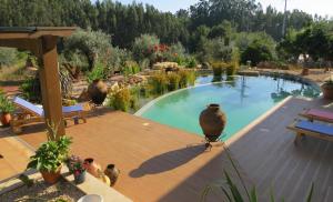 a swimming pool in a garden with a wooden deck at Casa Azul self-catering apartment with gorgeous biological swimming pool in Avelar