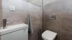 a bathroom with a toilet and a sink at Prestige House Jacuzzi & Sauna in Gdańsk +14 photos