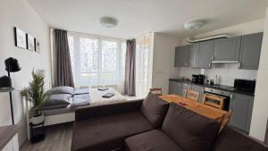 a living room with a couch and a table at THE RIVERSIDE APARTMENT with Balcony in Prague
