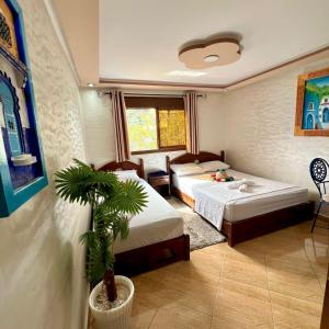 a bedroom with two beds and a potted plant at Hôtel nabil akchour in Akchour