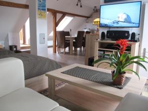 TV a/nebo společenská místnost v ubytování Tündérgyöngye Apartmanház