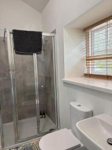 a bathroom with a shower and a toilet at Carpenters Cottage in Rathvilly