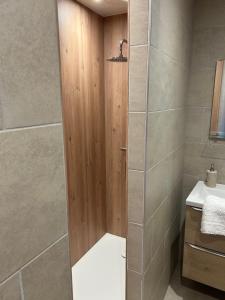 a bathroom with a shower with a toilet and a sink at Gîte Les Vignes au Cheylard in Le Cheylard +13 photos