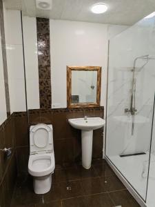 a bathroom with a toilet and a sink and a shower at M&W Hostel in Yerevan +24 photos