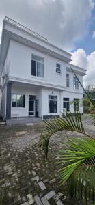 a white house with a palm tree in front of it at The white house in Douala