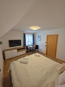 a bedroom with a large bed and a television at Apartment Almblick in Übelbach