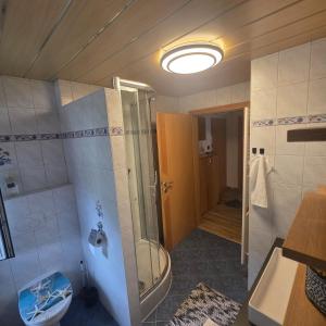 a bathroom with a shower and a toilet in it at Apartment Almblick in Übelbach +9 photos
