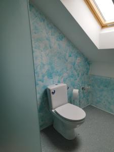 a bathroom with a toilet with blue walls at Apartmani Bele breze in Adlešiči +12 photos