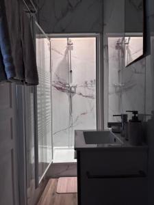 ein Badezimmer mit Glasdusche und Waschbecken in der Unterkunft Studio Aloe in Dunkerque