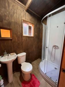 a bathroom with a toilet and a shower and a sink at Cabañas Villegas C2 in Hornopiren