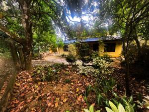 a house in the woods with leaves on the ground at Tea Estate Villa in Ratnapura