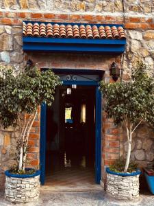 a blue door with two trees in front of it at Hôtel nabil akchour in Akchour