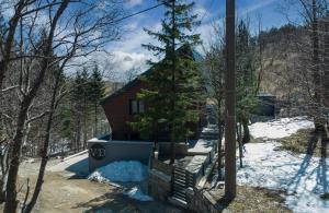 a house with a christmas tree in the snow at Villa Dodo in Soboli