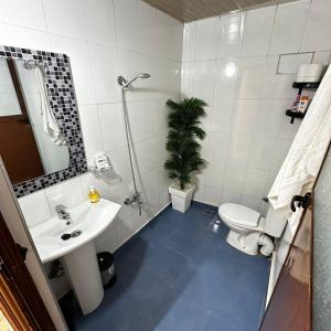 a bathroom with a sink and a toilet and a plant at Hôtel nabil akchour in Akchour