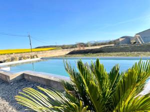 a swimming pool in a yard with plants at Las Mijeannos in Cazalrenoux