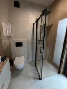 a bathroom with a toilet and a glass shower stall at Stodoły pod Łysą Górą in Huta Szklana